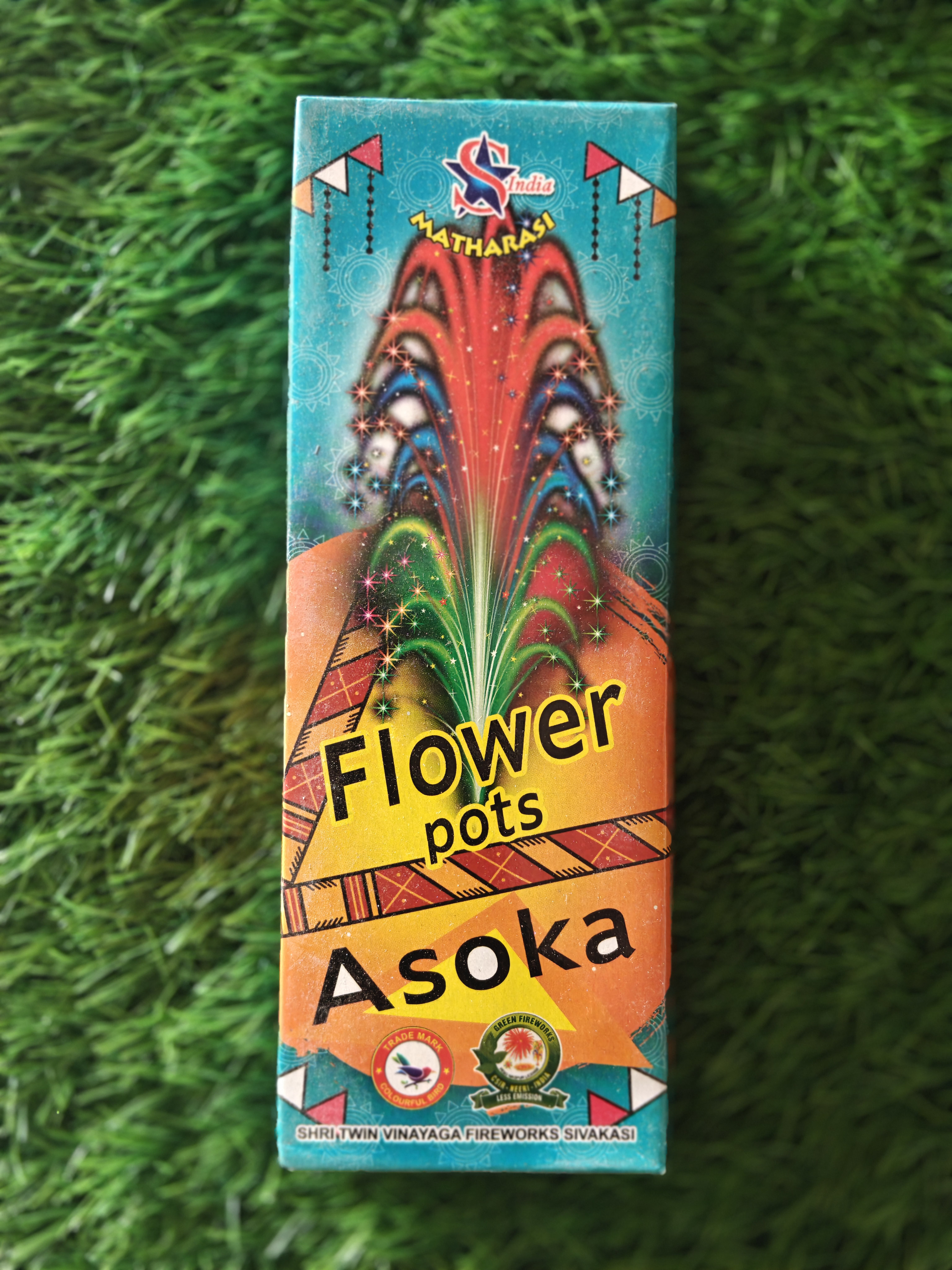 FLOWER POT ASHOKA