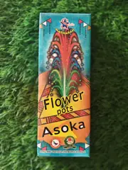 FLOWER POT ASHOKA