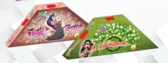 BELLY DANCE MULTICOLOR -PEACOCK 3 IN 1