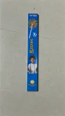 30CM ELECTRIC