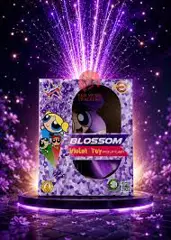 Blossom (Violet Fountain)(Ajantha)