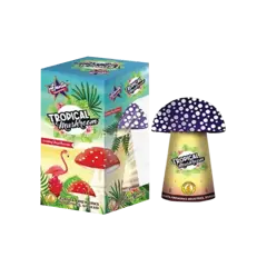Trophical Mushroom