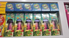 Trophical Mushroom
