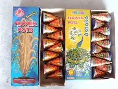 Flower Pots Asoka