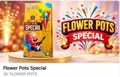 Flower Pots Special