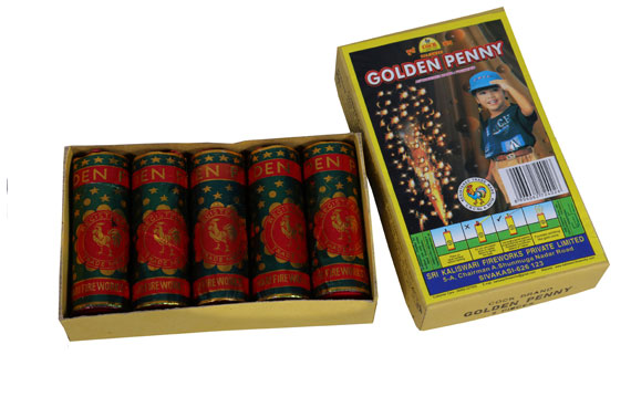 Golden Penny (05 Pcs)
