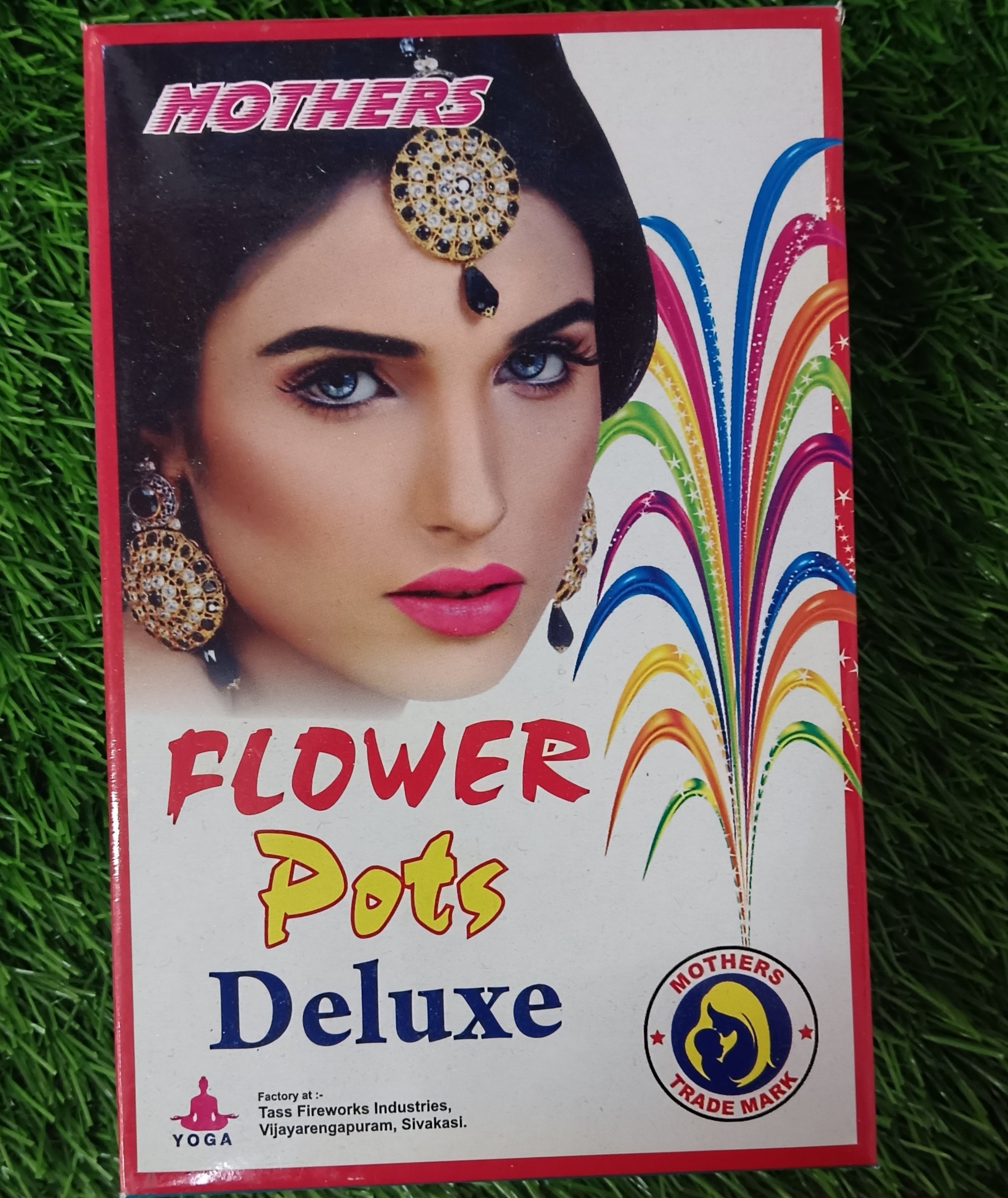 Flower Pots DIx