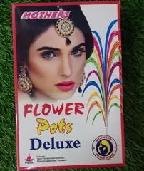 Flower Pots DIx