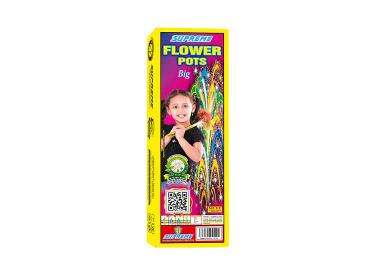FLOWER POTS BIG
