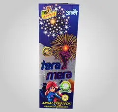 TERA MERA