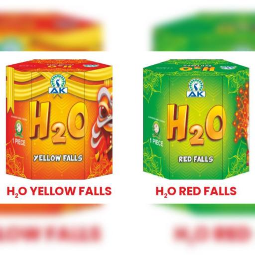 H20