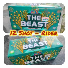 12 RIDER