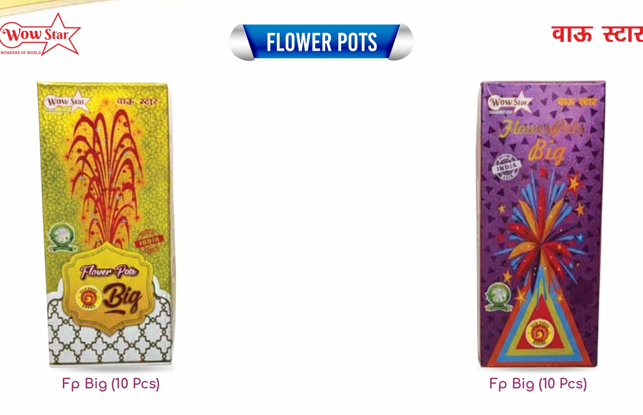 Flower Pots Big