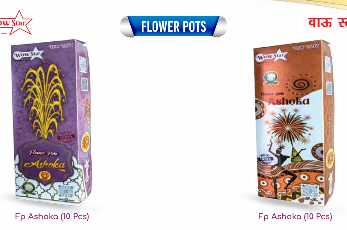 Flower Pots Asoka